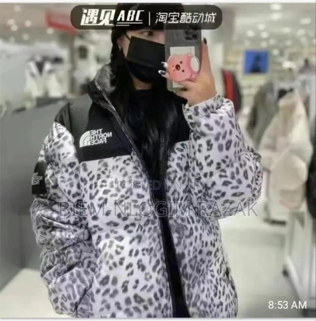 Authentic North Face Gucci Jackets Available In Stock