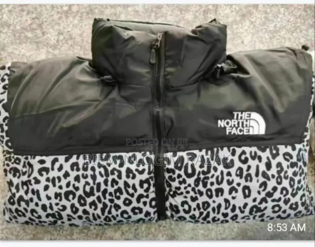 Authentic North Face Gucci Jackets Available In Stock