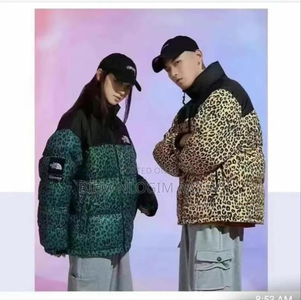 Authentic North Face Gucci Jackets Available In Stock