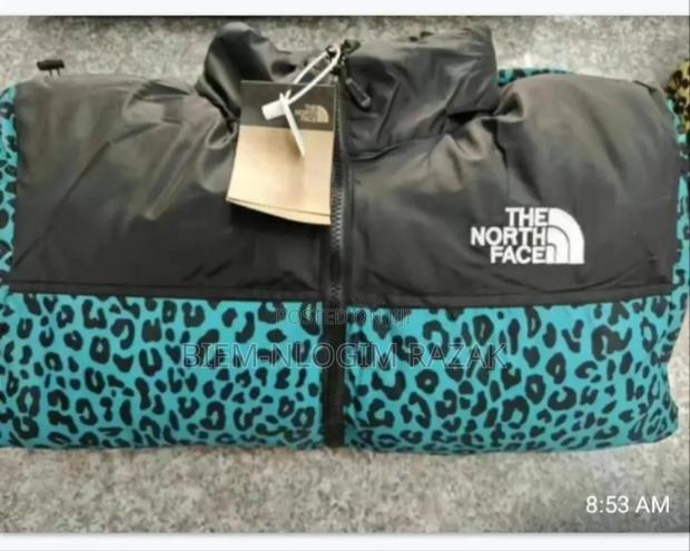 Authentic North Face Gucci Jackets Available In Stock