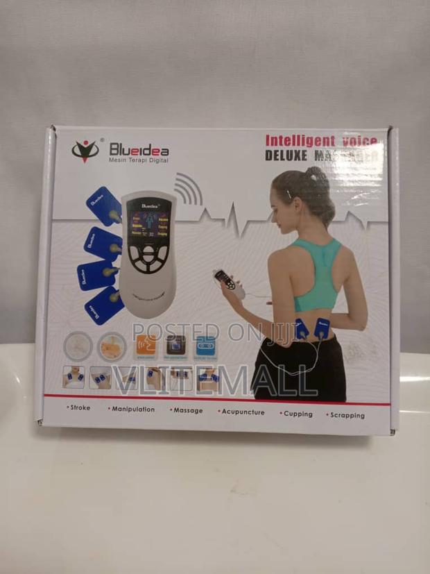 Intelligent Voice Deluxe Massager · Photo 3