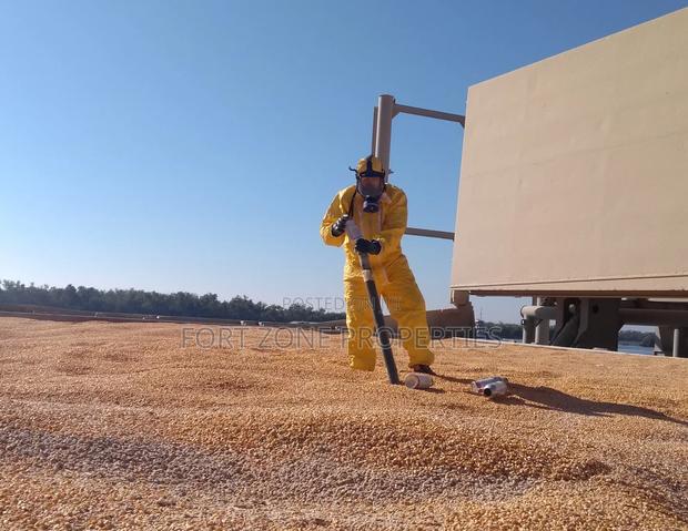 Clean Your Construction Sites of Harmful Pest. · Photo 3