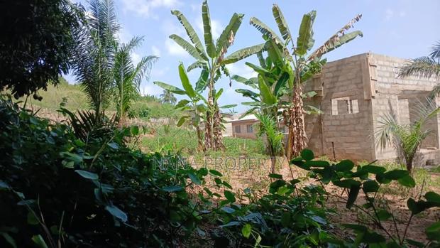Two Plots of Land for Sale · Photo 1