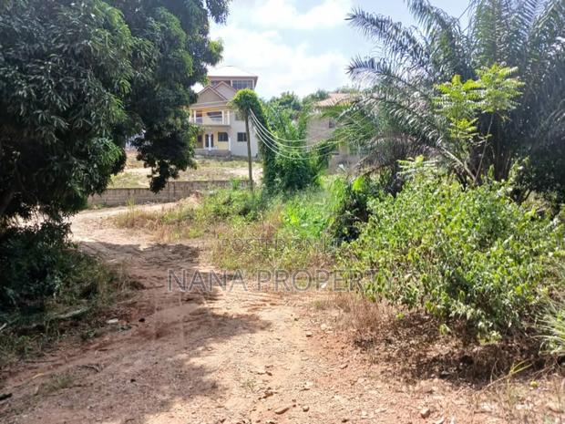 Two Plots of Land for Sale · Photo 2