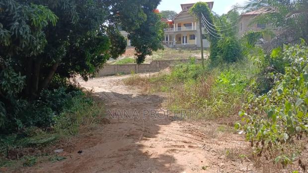 Two Plots of Land for Sale · Photo 3