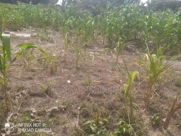 10 Plots of Land for Sale Located at Oyibi Saasabi Junc · Photo 3