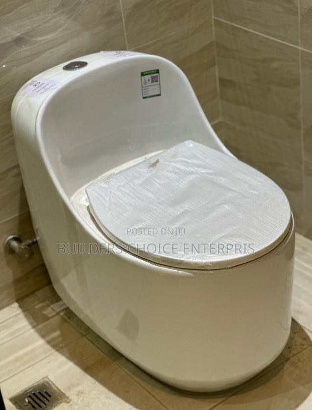 Modern Jet Flushing _Water Closet · Photo 4