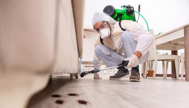 Settle All Your Pest Control and Fumigation With Cleantex · Photo 3