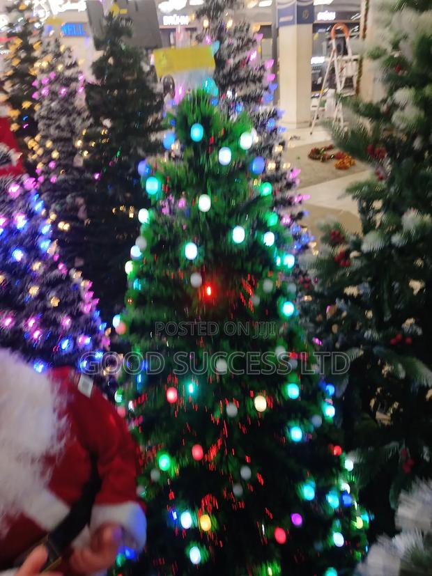 Chrismas Tree photo 2