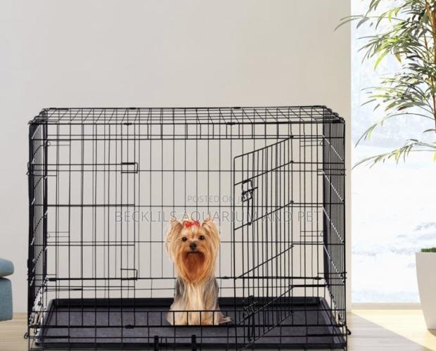 Dog Cages for Maltese · Photo 4