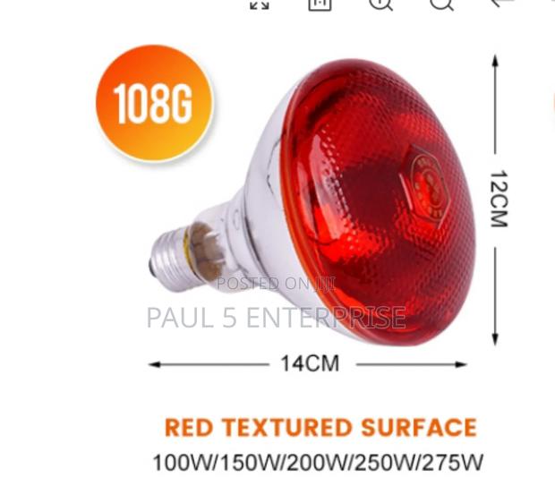 Wholesale and Retail Heater Infared Brooder Bulbs High Quality · Photo 4