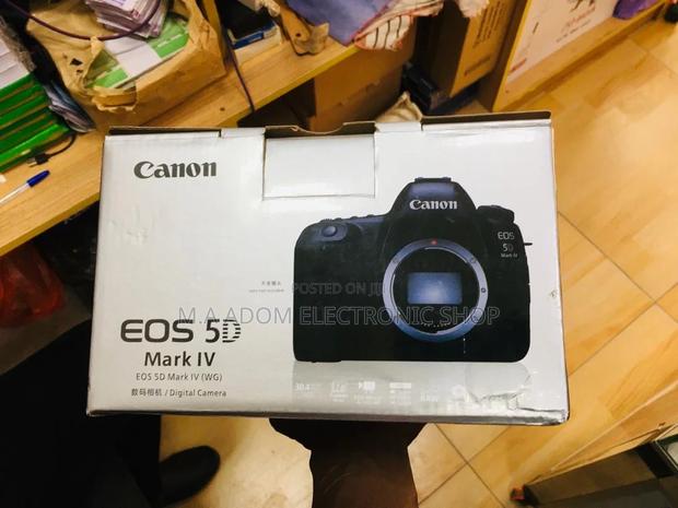 Elevate Your Photography With the Canon EOS 5D Mark IV · Photo 2