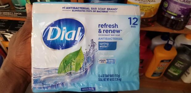 Dial Spring Water Antibacterial Bar Soap, 12pcs · Photo 2