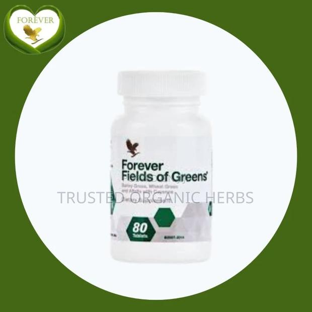 Buy Forever Fields Of Green In Ghana · Photo 2