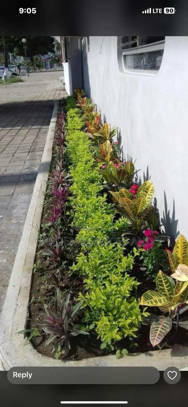 Call for Your Garden and Landscaping Project photo 12