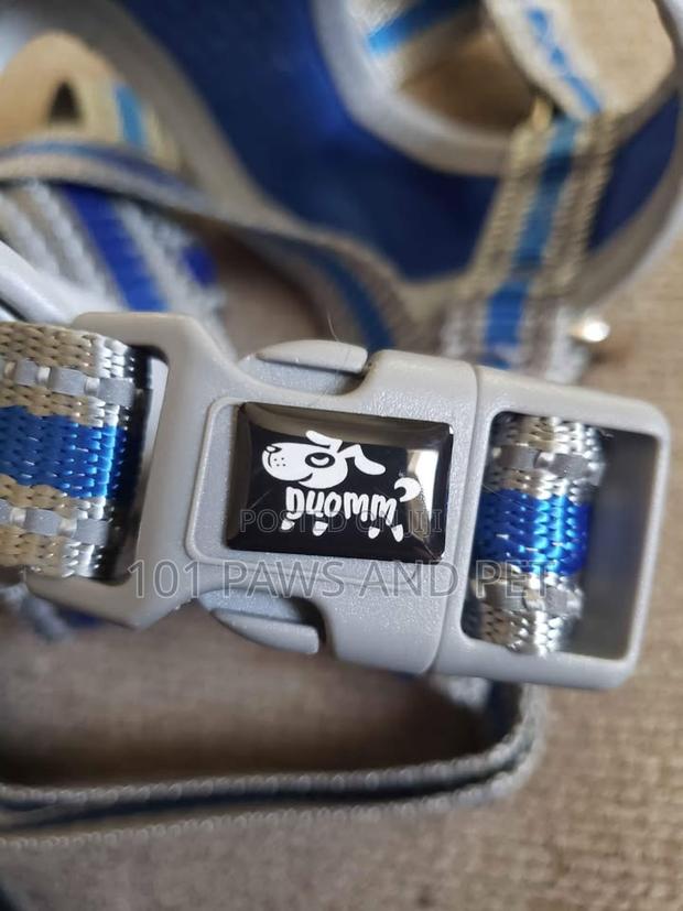 Duomm Dog Harness · Photo 4