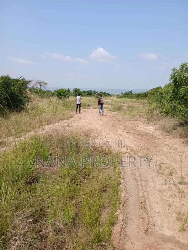 25 Acres of Land for Sale Located at Oyibi Bawaleshie · Photo 2