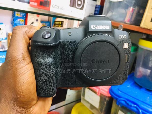 Canon EOS R: Where Innovation Meets Imagination · Photo 2