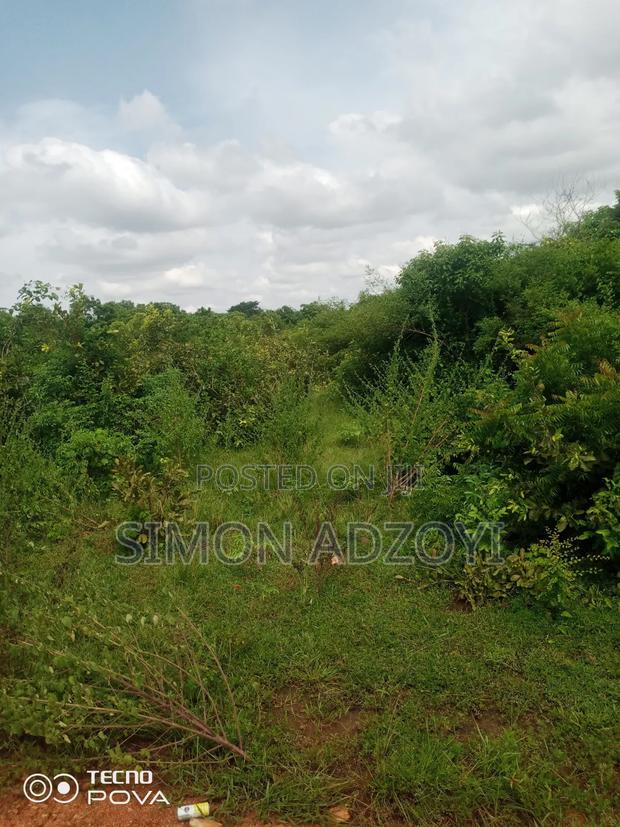 1000 Acres of Coco Land for Sale