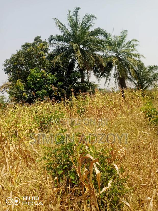 1000 Acres of Coco Land for Sale