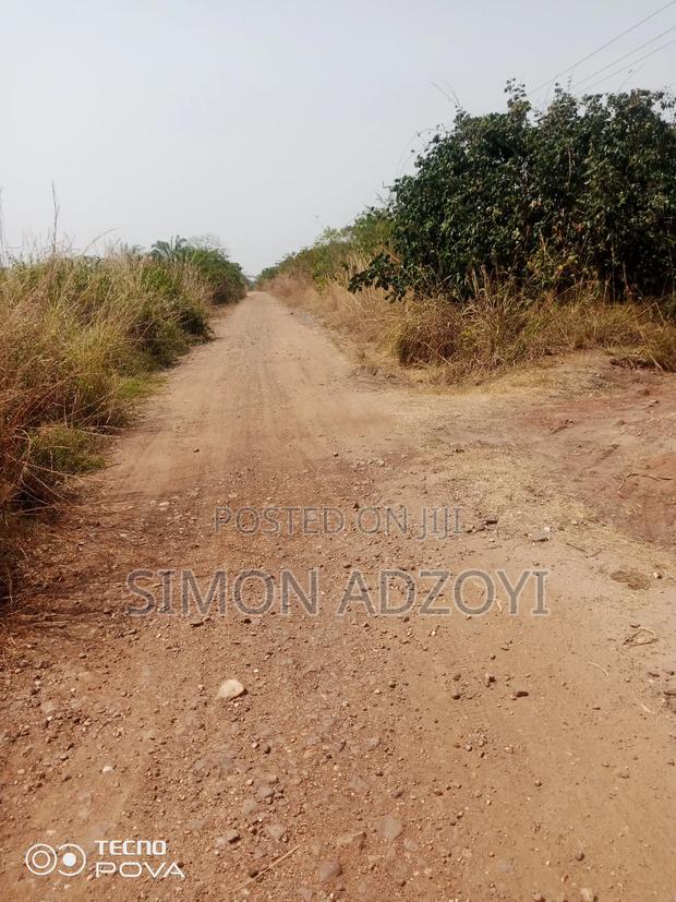 1000 Acres of Coco Land for Sale