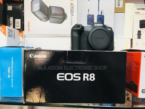 Canon EOS R8 - Unleash Your Inner Artist · Photo 2