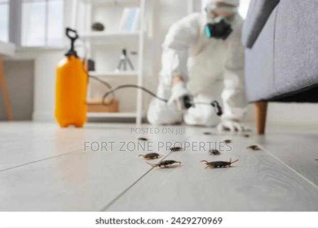 No More Pest Fumigation and Disinfection · Photo 3