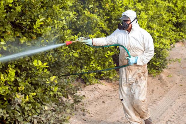 No More Pest Fumigation and Disinfection · Photo 4