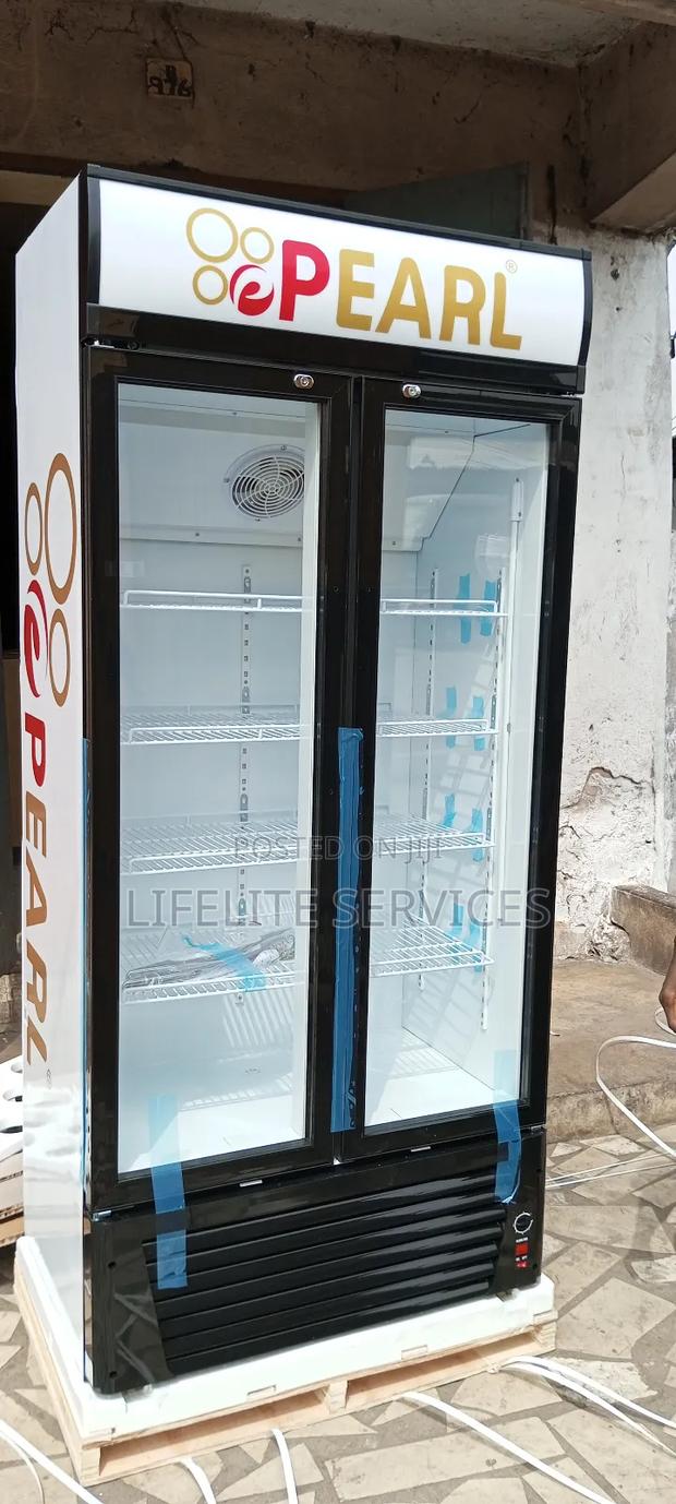 528 Litres Fridge Pearl Display (4 Bars/Restaurants)