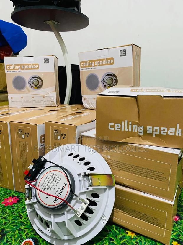 Ceiling Speakers photo 4