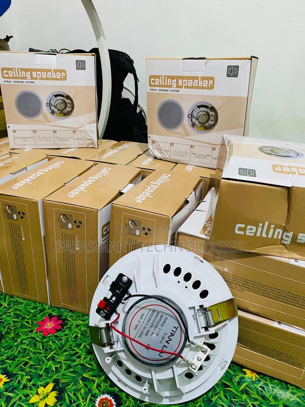 Ceiling Speakers photo 5