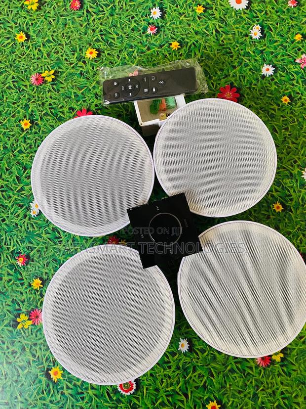 Ceiling Speaker + Analog Wall Amplifier