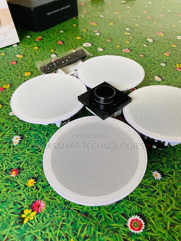 Ceiling Speaker + Analog Wall Amplifier photo 2