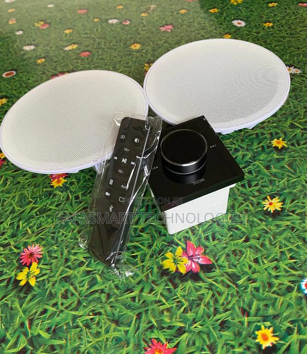 2 Ceiling Speaker + Wall Amplifier photo 2