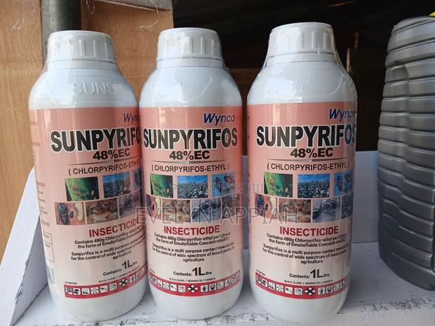 SUNPYRIFOS Ilitre · Photo 2