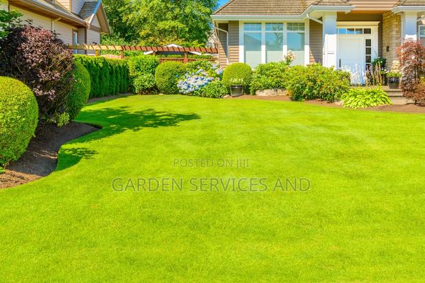 Gardening and Landscaping Service Available photo 13