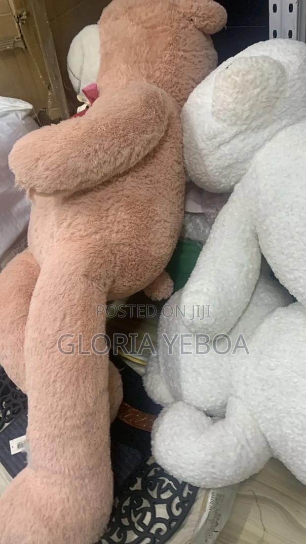 Teddy Bear photo 2