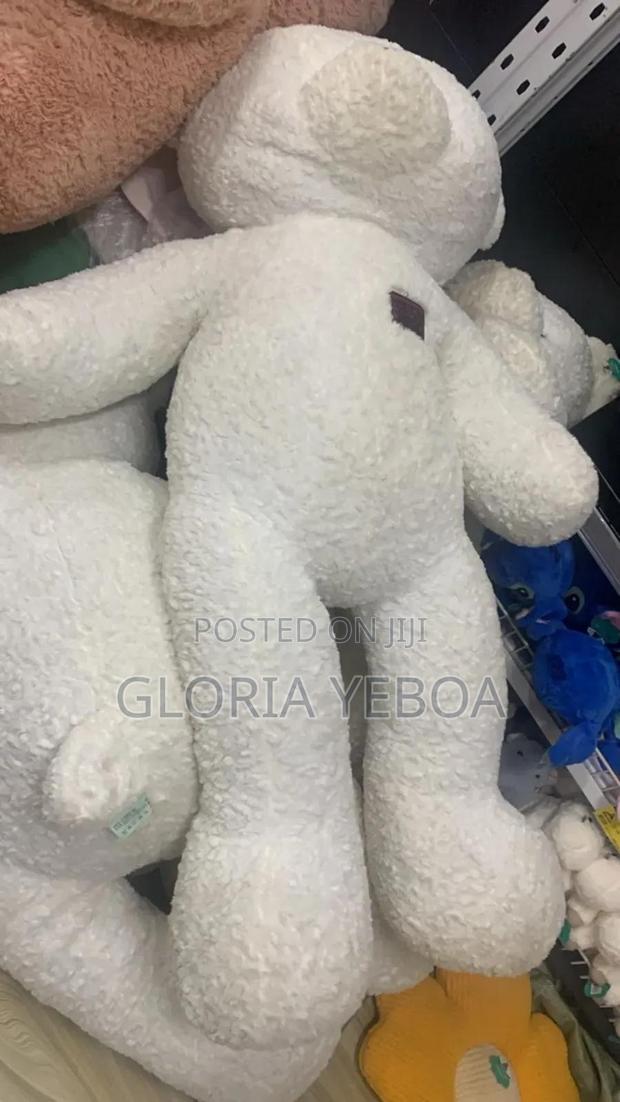 Teddy Bear photo 3