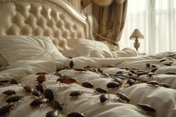 Pest Removal With Cleantex · Photo 3