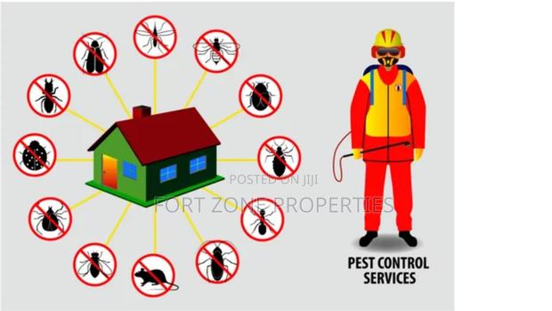 Pest Removal With Cleantex · Photo 4