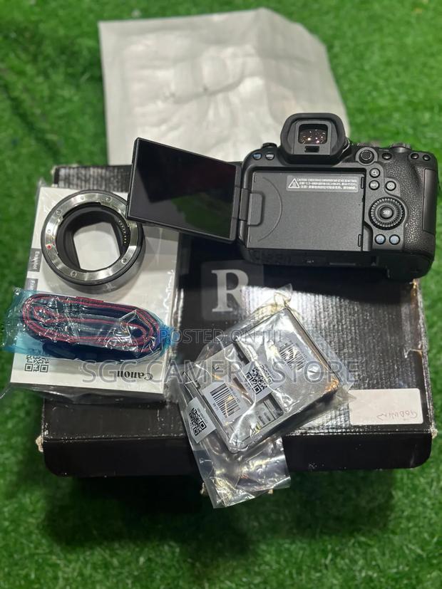Canon Eos R6 + Ef Adapter // Like New // 8 Months Warranty photo 4