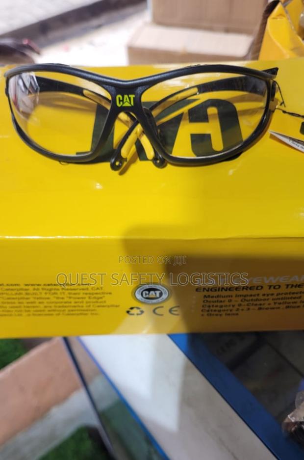 Cat Clear Goggles · Photo 2