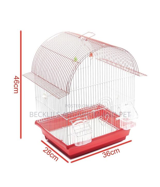 Birdcages for Domestic Cannery · Photo 4
