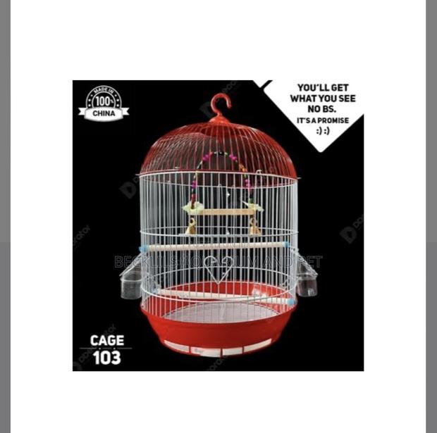 Birdcage for Fischer’S Lovebirds · Photo 4