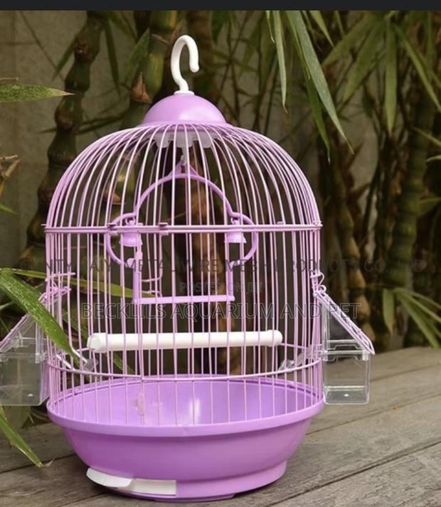 Round Birdcage for Gouldian Finch · Photo 4