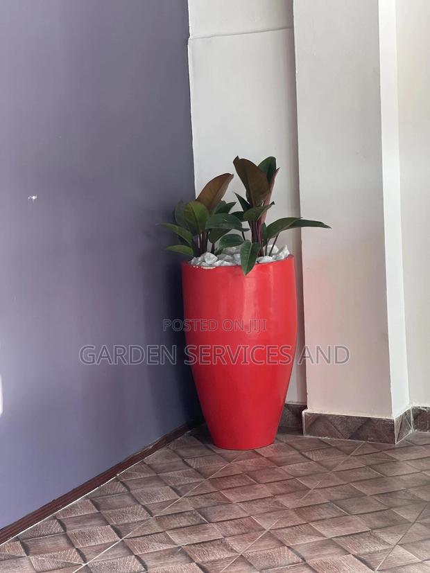 Beautiful Flowers Available for Your House and Offices photo 3