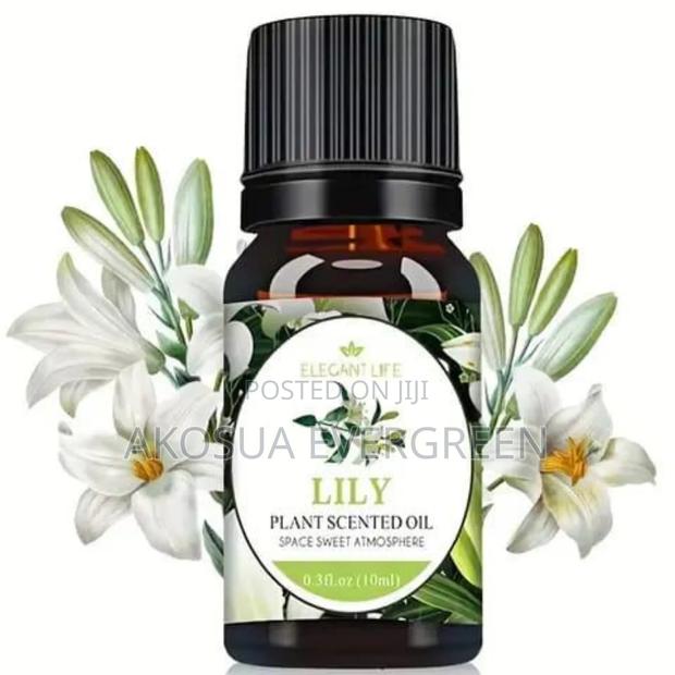 Diffuser With Perfume Oil photo 3