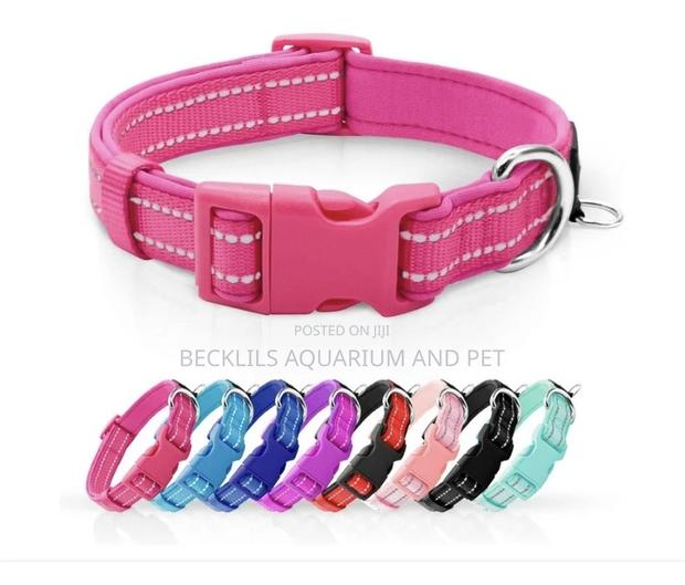 Cotton Dog Colors Available