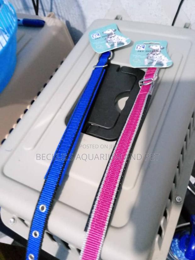 Cotton Dog Colors Available