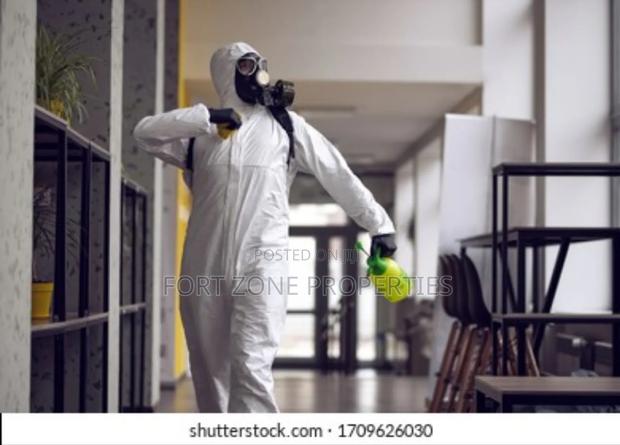 First Class Fumigation Service With Cleantex · Photo 4